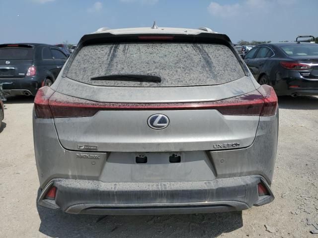 2021 Lexus UX 250H