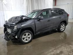 Salvage cars for sale from Copart Albany, NY: 2020 Toyota Rav4 XLE