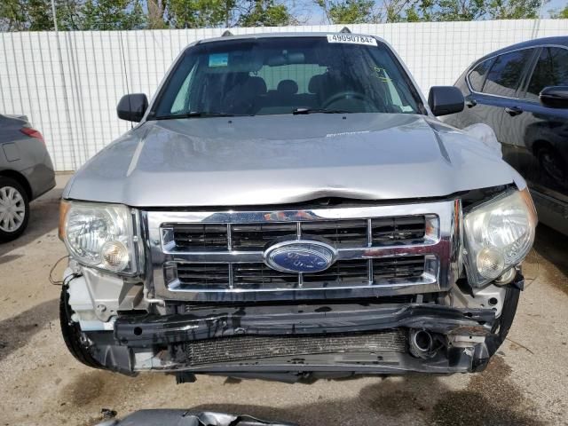 2008 Ford Escape XLT