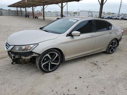 Salvage cars for sale at Temple, TX auction: 2014 Honda Accord Sport