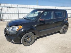 Salvage cars for sale from Copart Nisku, AB: 2012 KIA Soul
