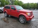 2011 Dodge Nitro Heat