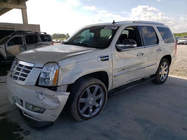 2009 Cadillac Escalade Hybrid