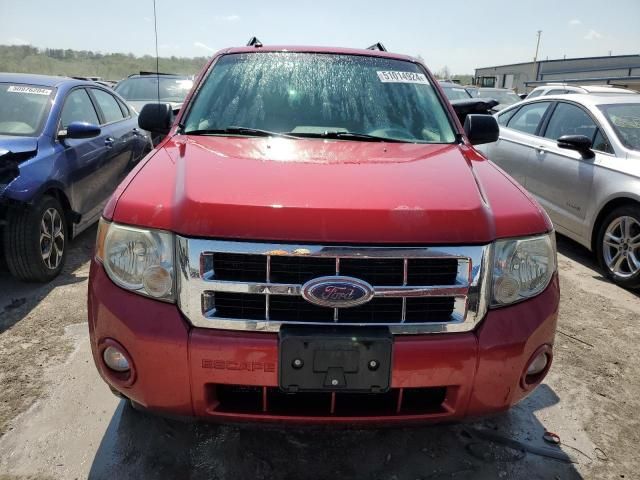 2008 Ford Escape XLT