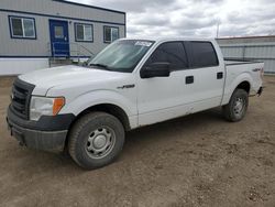 Salvage cars for sale at Bismarck, ND auction: 2014 Ford F150 Supercrew