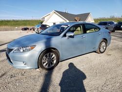 Salvage cars for sale from Copart Northfield, OH: 2014 Lexus ES 300H