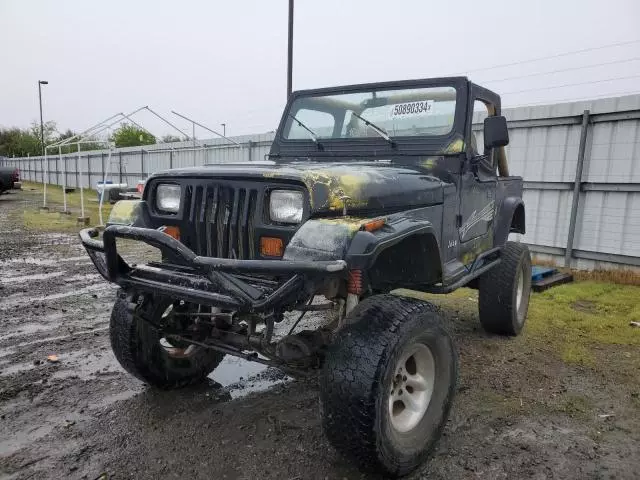 1991 Jeep Wrangler / YJ S