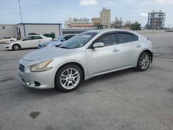 Salvage cars for sale at New Orleans, LA auction: 2011 Nissan Maxima S