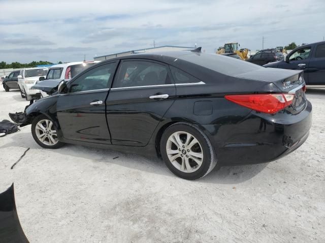 2011 Hyundai Sonata SE