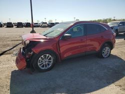 Salvage cars for sale at Indianapolis, IN auction: 2022 Ford Escape SE