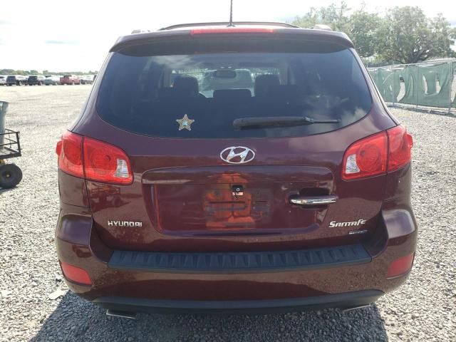 2009 Hyundai Santa FE SE