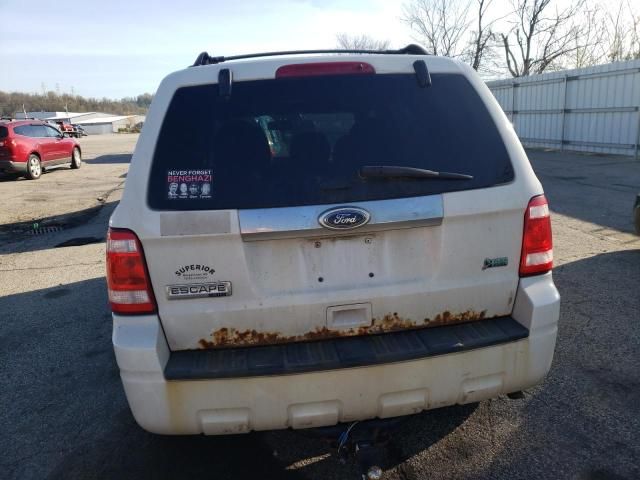 2011 Ford Escape Limited