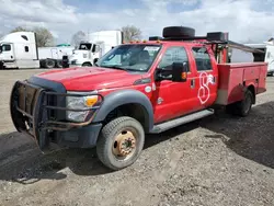 Salvage trucks for sale at Billings, MT auction: 2013 Ford F550 Super Duty