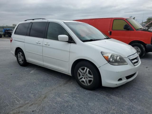 2005 Honda Odyssey EXL