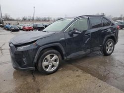 Salvage cars for sale at Fort Wayne, IN auction: 2021 Toyota Rav4 XLE Premium