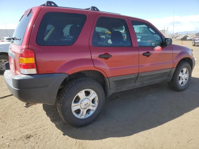 2004 Ford Escape XLT