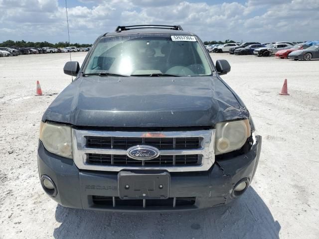 2009 Ford Escape XLT