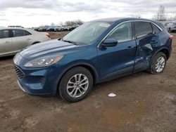 Salvage cars for sale from Copart Davison, MI: 2020 Ford Escape SE