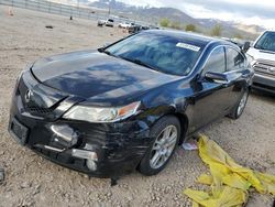 Salvage cars for sale at Magna, UT auction: 2009 Acura TL