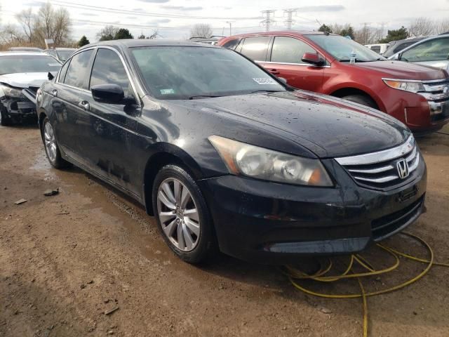 2011 Honda Accord EXL