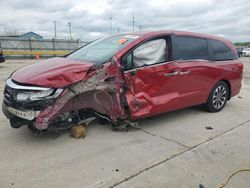 Salvage cars for sale at Lawrenceburg, KY auction: 2023 Honda Odyssey EXL