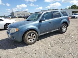 Salvage cars for sale at Memphis, TN auction: 2012 Ford Escape Limited