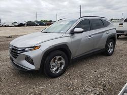 Salvage cars for sale at Temple, TX auction: 2024 Hyundai Tucson SEL