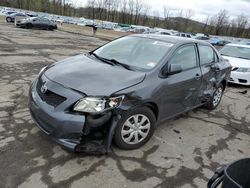 Salvage cars for sale from Copart Marlboro, NY: 2010 Toyota Corolla Base