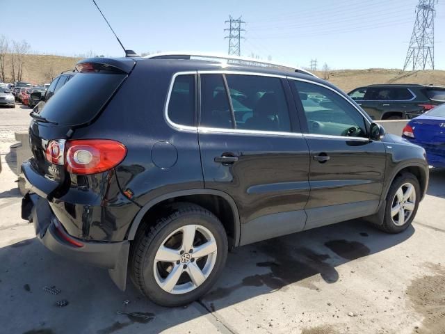 2010 Volkswagen Tiguan S