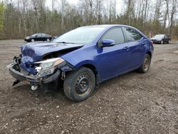 Salvage cars for sale from Copart Bowmanville, ON: 2014 Toyota Corolla L
