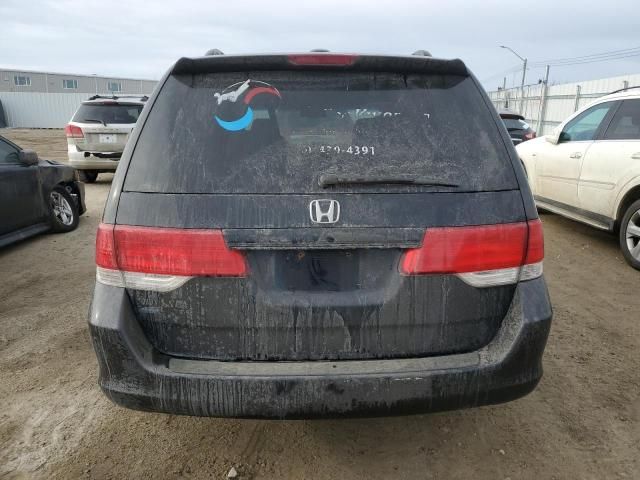 2008 Honda Odyssey EXL