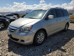 Honda salvage cars for sale: 2007 Honda Odyssey EXL