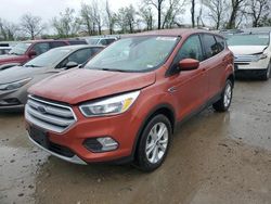Vehiculos salvage en venta de Copart Bridgeton, MO: 2019 Ford Escape SE