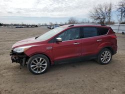 Salvage cars for sale from Copart Ontario Auction, ON: 2016 Ford Escape SE