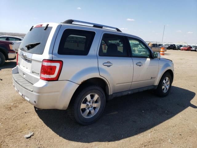 2010 Ford Escape Hybrid