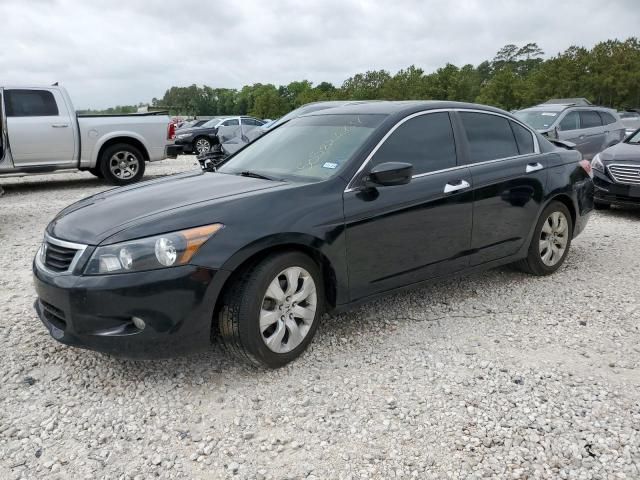 2010 Honda Accord EXL