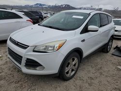 Salvage cars for sale at Magna, UT auction: 2013 Ford Escape SE