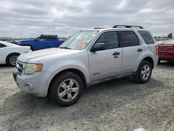 Ford Escape XLT salvage cars for sale: 2008 Ford Escape XLT