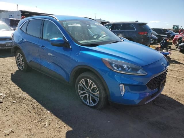 2021 Ford Escape SEL