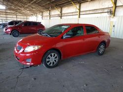 Salvage cars for sale from Copart Phoenix, AZ: 2009 Toyota Corolla Base