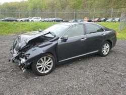 Salvage cars for sale from Copart Finksburg, MD: 2010 Lexus ES 350