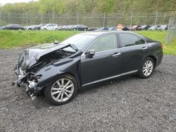 Lexus salvage cars for sale: 2010 Lexus ES 350