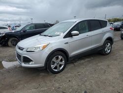 Ford salvage cars for sale: 2014 Ford Escape SE