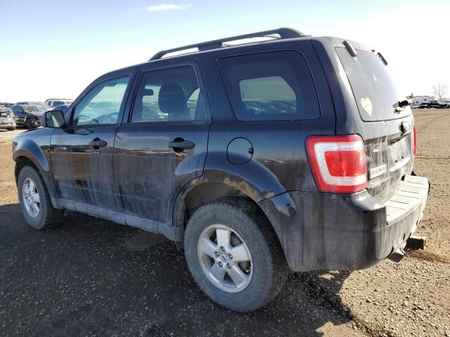 2012 Ford Escape XLT