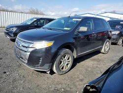 Vehiculos salvage en venta de Copart Albany, NY: 2011 Ford Edge SE