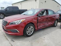 Salvage cars for sale at Haslet, TX auction: 2015 Hyundai Sonata SE