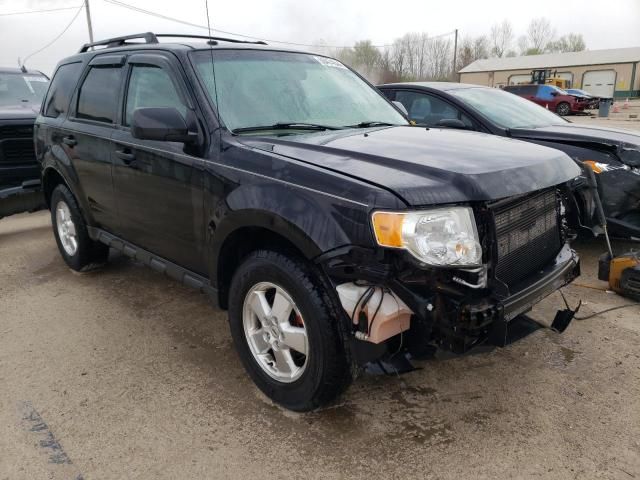 2011 Ford Escape XLT