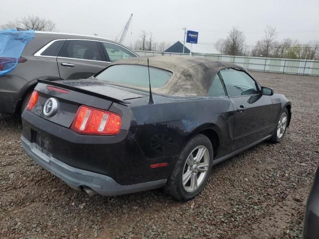 2010 Ford Mustang