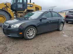 Chevrolet Cruze eco salvage cars for sale: 2012 Chevrolet Cruze ECO