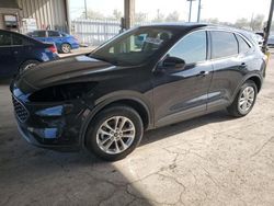 Salvage cars for sale at Fort Wayne, IN auction: 2020 Ford Escape SE